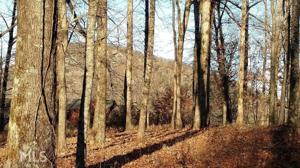 lot 49 L Mountainside Dr