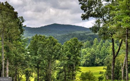122 Ridge Drive # 122, Morganton GA 30560