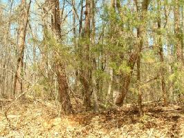 42  Brittany Harbor East LOT 42C