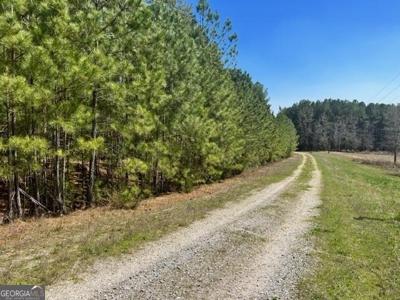 Jacks Hat Road, Elberton GA 30635