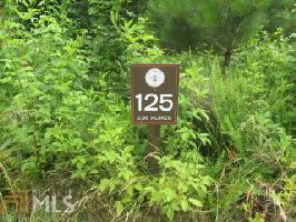 300 Retreat Trl Lot 125