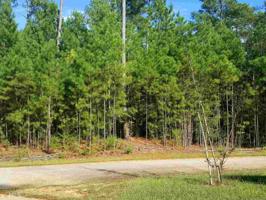 Lot 12 Melody Point
