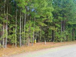 Lot 34 Melody Point