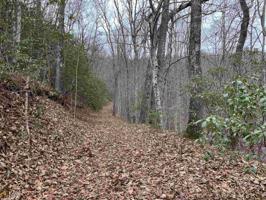 Lot 6 White Oak Forest