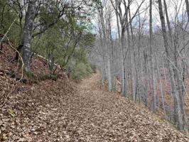 Lot 1 White Oak Forest