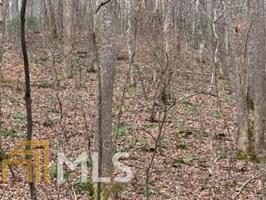 Lot E4 White Oak Forest
