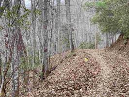 Lot E9 White Oak Forest