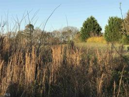 Lot 29 Lightwood Rd