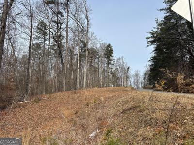 TRACT Holly Springs Road # 3, Toccoa GA 30577