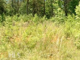99&1  Poplar Springs Rd LOTS 99&100