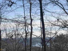 946 946 Lake Arrowhead Dr Lot 98