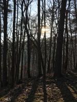 129 129 Indian Oak Dr Lot 114