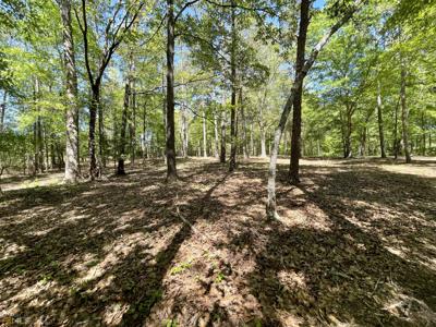 LOT 1 Majestic Shores Lane