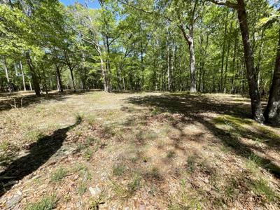 LOT 2 Majestic Shores Lane