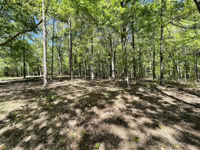 LOT 3 Majestic Shores Lane