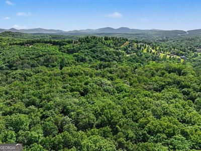 230 Rushing Water Drive, Blairsville GA 30512