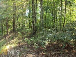 22  Camp Branch Rd Lot 22