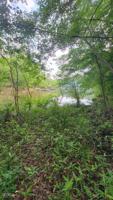 LOT 53 Lewis Drive