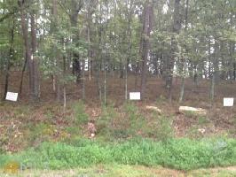 114 114 Moose Loop
