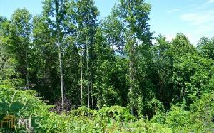 21  Panorama Forest Lot 21