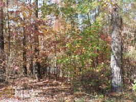 59 59 Co Rd 6