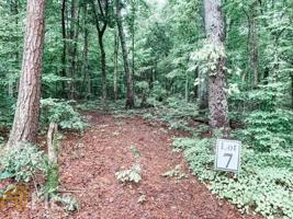 Lot 2 Mount Carmel Church Ln