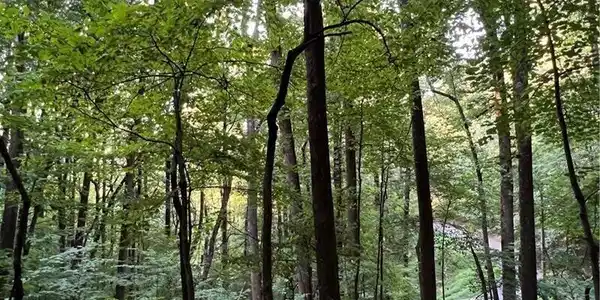 5177 Chestnut Cove Trail