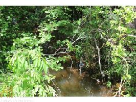 Owl Swamp Rd