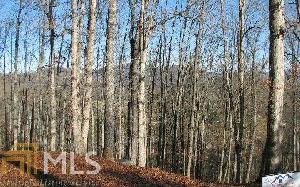 1 Dogwood Dr Lot C