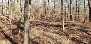 Lot 247 Bow Dr
