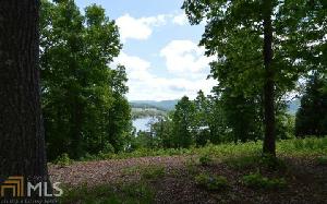 31 31 Beech Cove Vista Lot 30/31