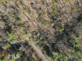 2619 Highland Trl