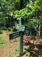 20 Falcon Circle