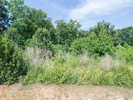 4125 4125 Alayna Lee Cir Lot 19