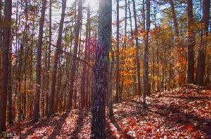 06 106 Jake Ct Lot 102