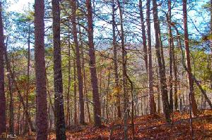 193 193 Lakewood Dr Lot 103