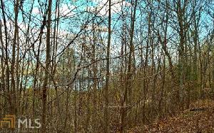 Ramey Mountain Rd Lot 6E