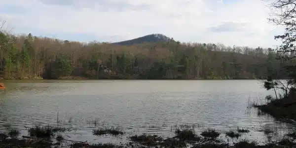 532 532 Padsett Ct Lot 532 ST