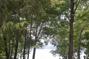 Lot Tract 1 Reed Creek Pt
