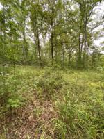 LOT 20 Horseshoe