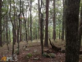 122 122 Moose Loop
