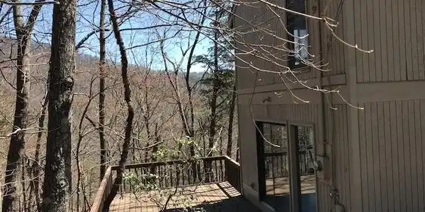 790 Little Hendricks Mtn Rd