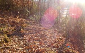 Lot 5 Bearmeat Creek Village