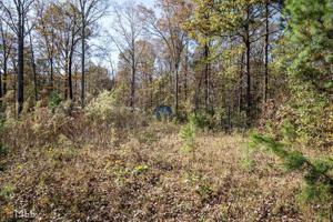 252 Knottywood Dr