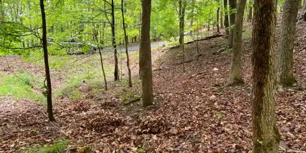 0 Sleepy Hollow Circle