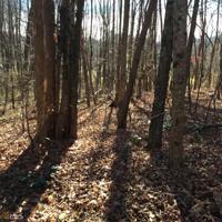 3B Hidden Valley