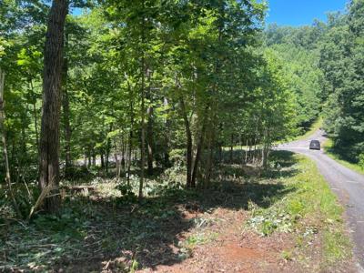 LT 31 Shallow Creek