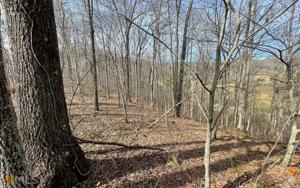 LOTS 81A & 82A Mountain Harbour