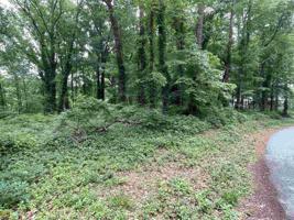 7258 Island Mill Road