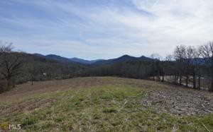 Lot 146 Bugscuffle Rd